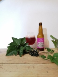 kirchengast-terracervisiae-cassis