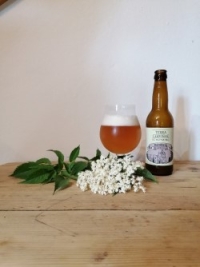 kirchengast-terracervisiae-kornberg