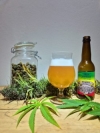 Bio Bier Kingston